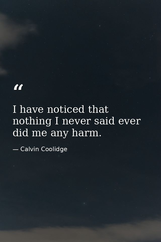 I have noticed that nothing I never said ever did me any harm. — Calvin Coolidge