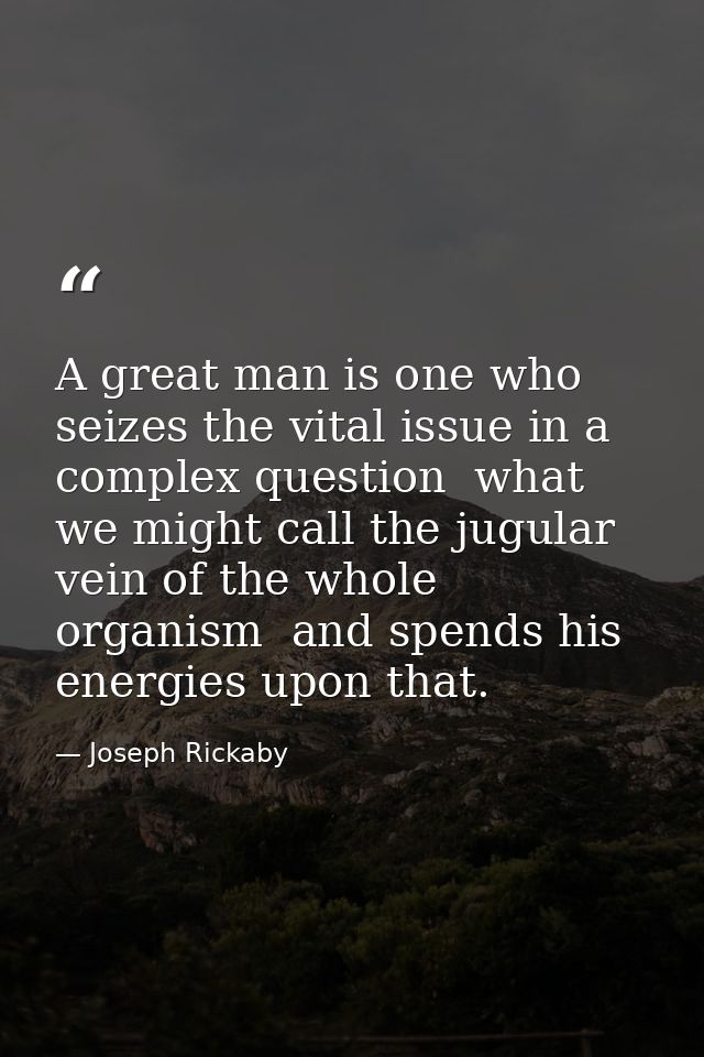 A great man is one who seizes the vital issue in a complex question  what we might call the jugular vein of the whole or — Joseph Rickaby