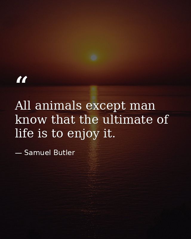 All animals except man know that the ultimate of life is to enjoy it. — Samuel Butler