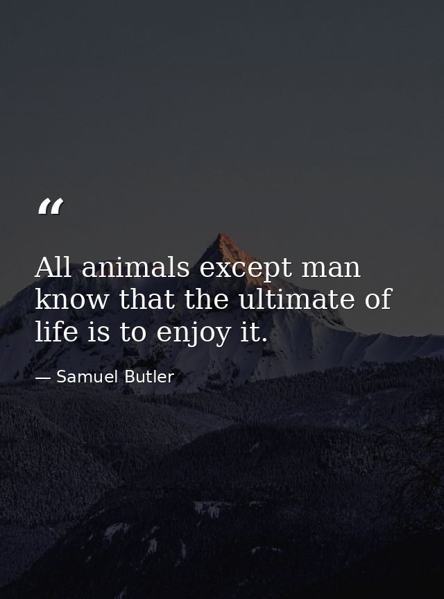 All animals except man know that the ultimate of life is to enjoy it. — Samuel Butler