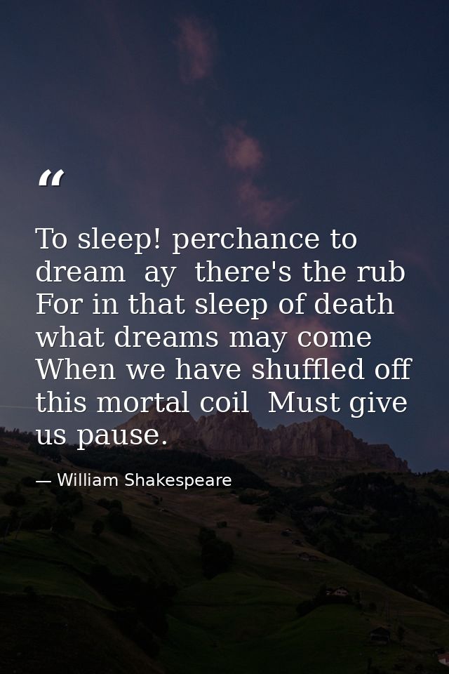 To sleep! perchance to dream  ay  there's the rub  For in that sleep of death what dreams may come  When we have shuffle — William Shakespeare
