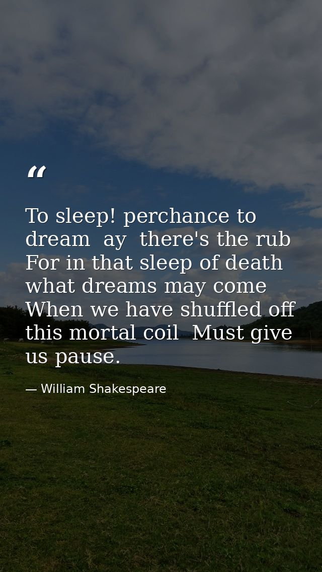 To sleep! perchance to dream  ay  there's the rub  For in that sleep of death what dreams may come  When we have shuffle — William Shakespeare