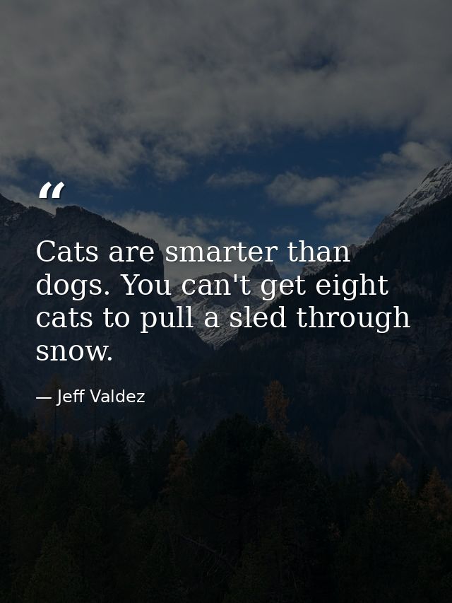 Cats are smarter than dogs. You can't get eight cats to pull a sled through snow. — Jeff Valdez
