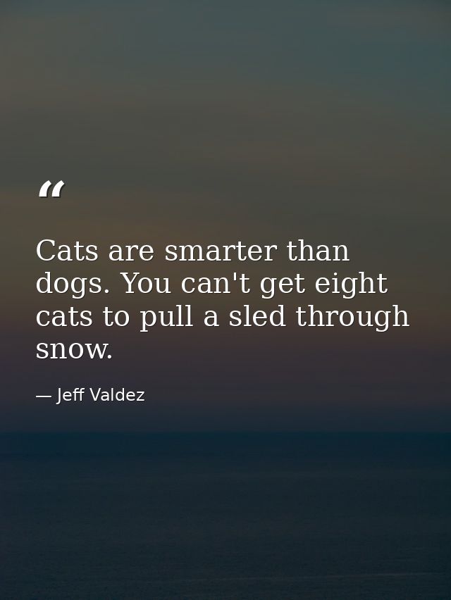 Cats are smarter than dogs. You can't get eight cats to pull a sled through snow. — Jeff Valdez
