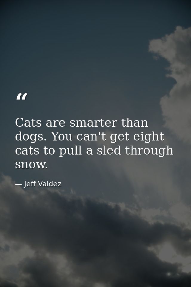 Cats are smarter than dogs. You can't get eight cats to pull a sled through snow. — Jeff Valdez