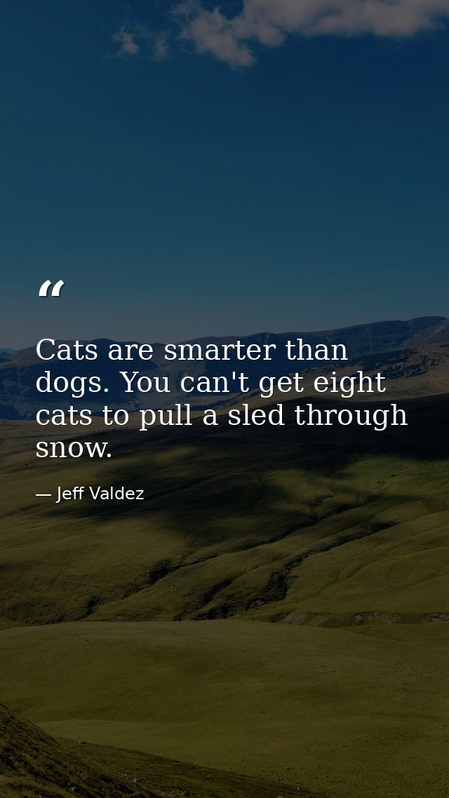 Cats are smarter than dogs. You can't get eight cats to pull a sled through snow. — Jeff Valdez
