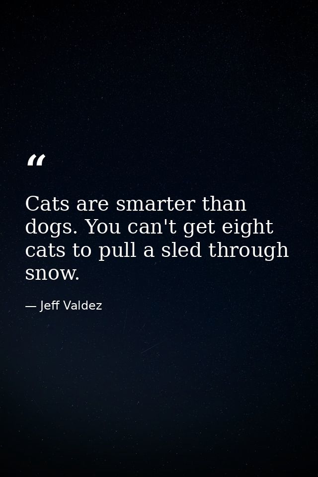 Cats are smarter than dogs. You can't get eight cats to pull a sled through snow. — Jeff Valdez