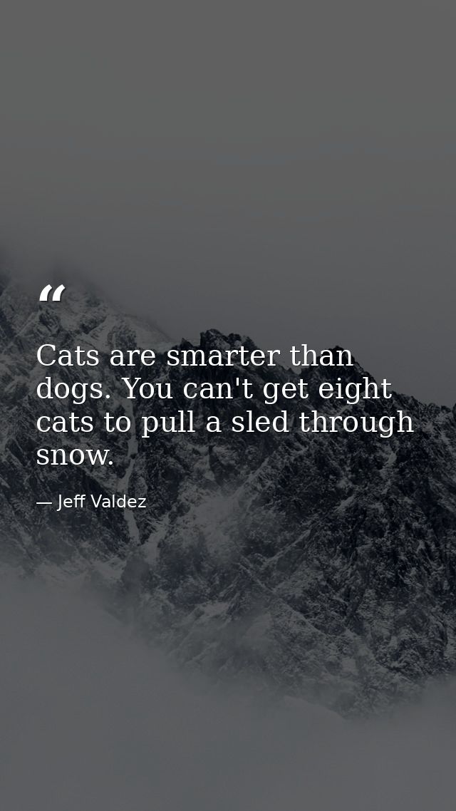 Cats are smarter than dogs. You can't get eight cats to pull a sled through snow. — Jeff Valdez