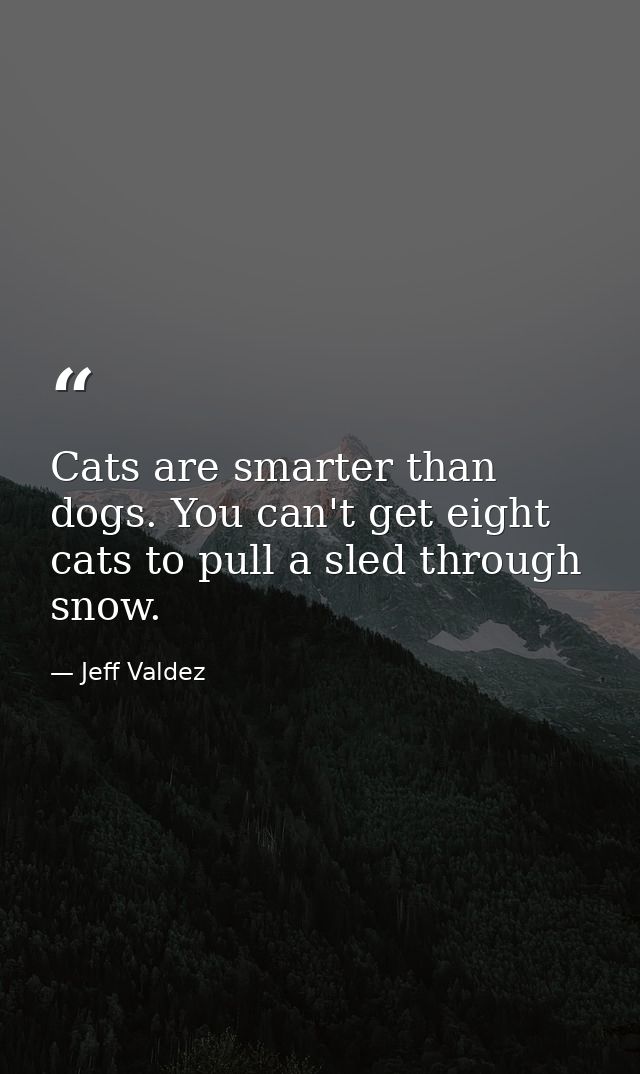Cats are smarter than dogs. You can't get eight cats to pull a sled through snow. — Jeff Valdez