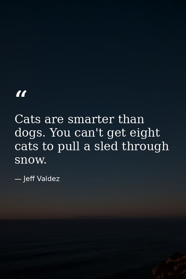 Cats are smarter than dogs. You can't get eight cats to pull a sled through snow. — Jeff Valdez