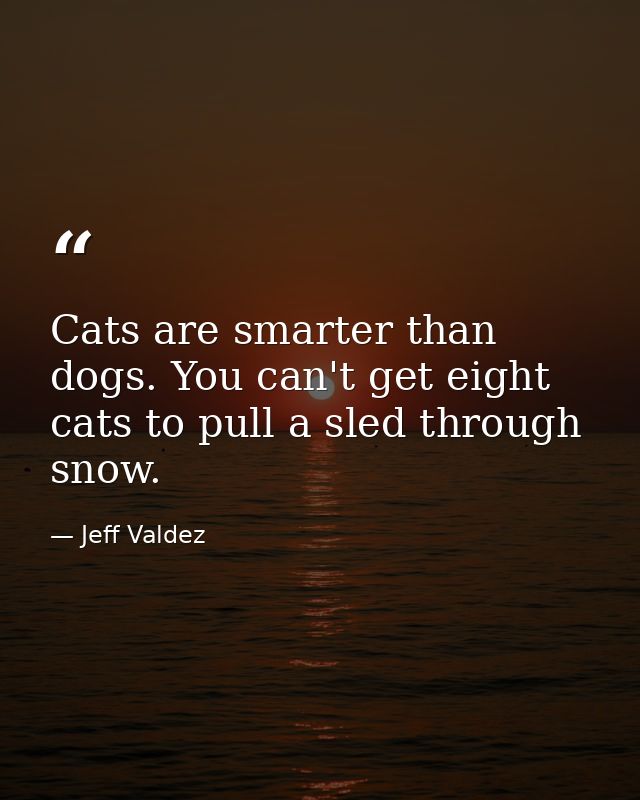 Cats are smarter than dogs. You can't get eight cats to pull a sled through snow. — Jeff Valdez