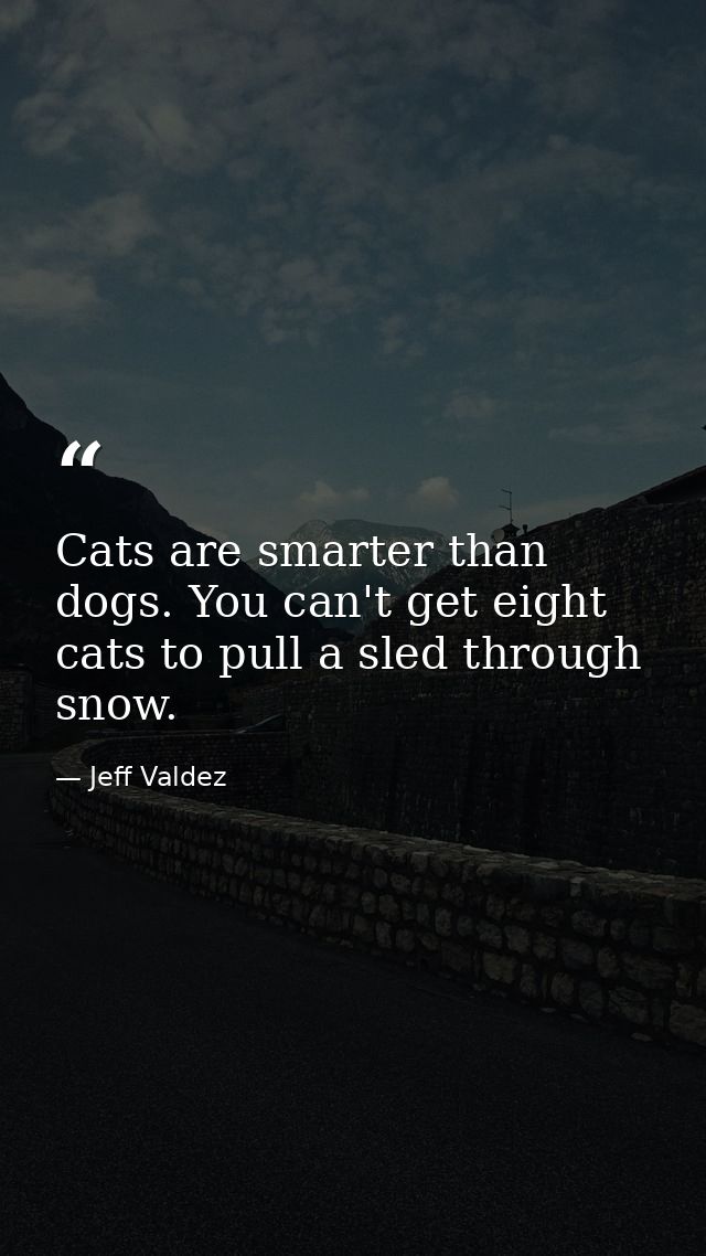 Cats are smarter than dogs. You can't get eight cats to pull a sled through snow. — Jeff Valdez