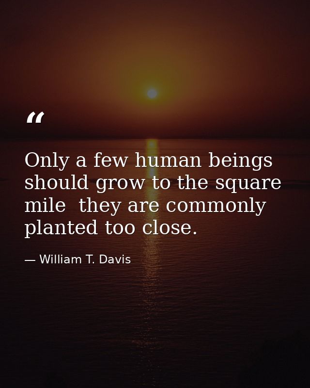 Only a few human beings should grow to the square mile  they are commonly planted too close. — William T. Davis