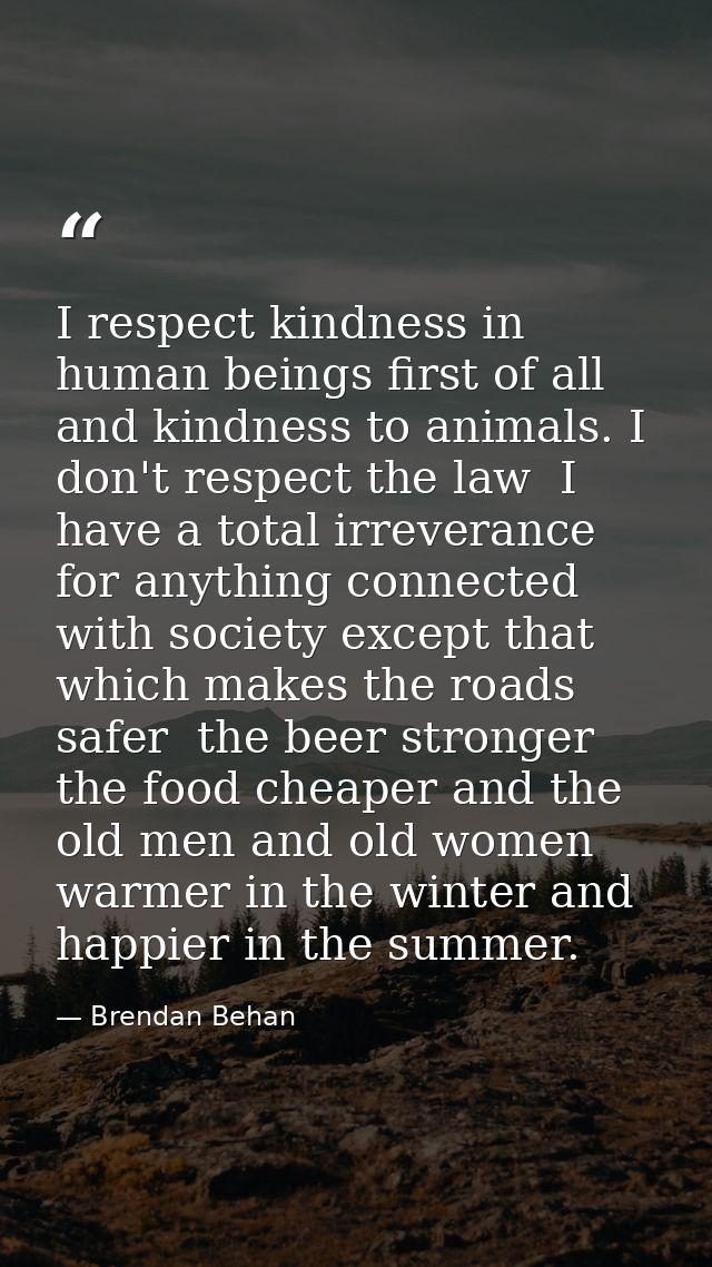 I respect kindness in human beings first of all  and kindness to animals. I don't respect the law  I have a total irreve — Brendan Behan