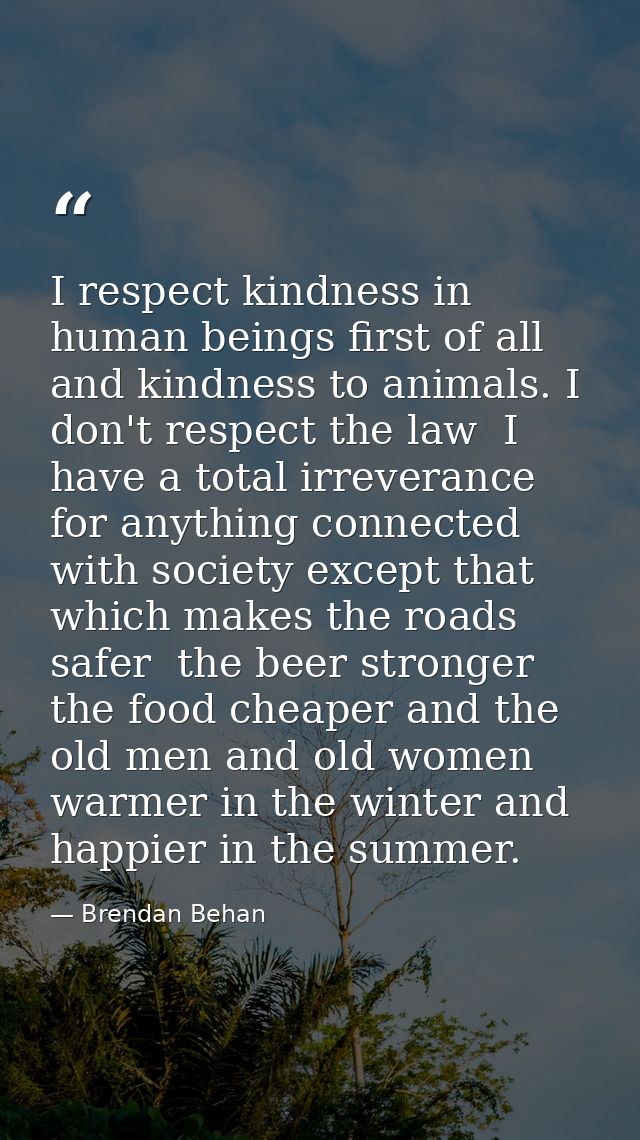 I respect kindness in human beings first of all  and kindness to animals. I don't respect the law  I have a total irreve — Brendan Behan