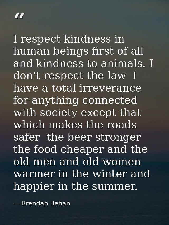 I respect kindness in human beings first of all  and kindness to animals. I don't respect the law  I have a total irreve — Brendan Behan
