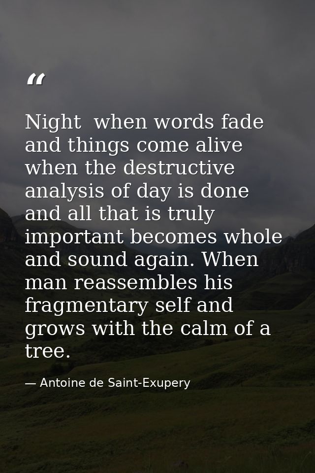 Night  when words fade and things come alive  when the destructive analysis of day is done  and all that is truly import — Antoine de Saint-Exupery
