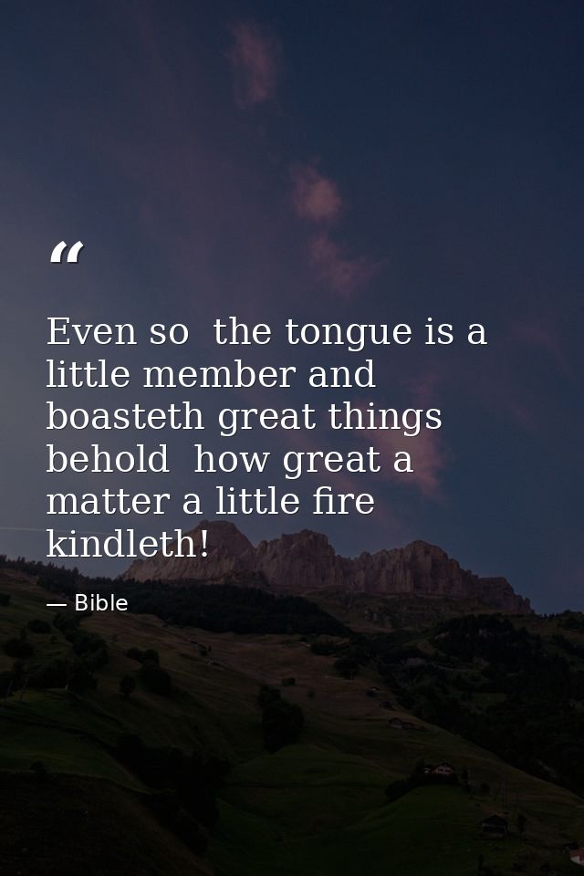 Even so  the tongue is a little member and boasteth great things  behold  how great a matter a little fire kindleth! — Bible