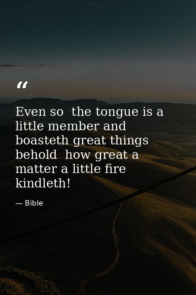 Even so  the tongue is a little member and boasteth great things  behold  how great a matter a little fire kindleth! — Bible