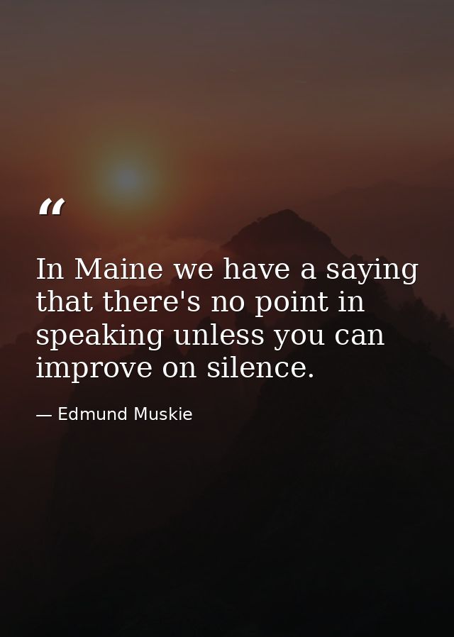 In Maine we have a saying that there's no point in speaking unless you can improve on silence. — Edmund Muskie