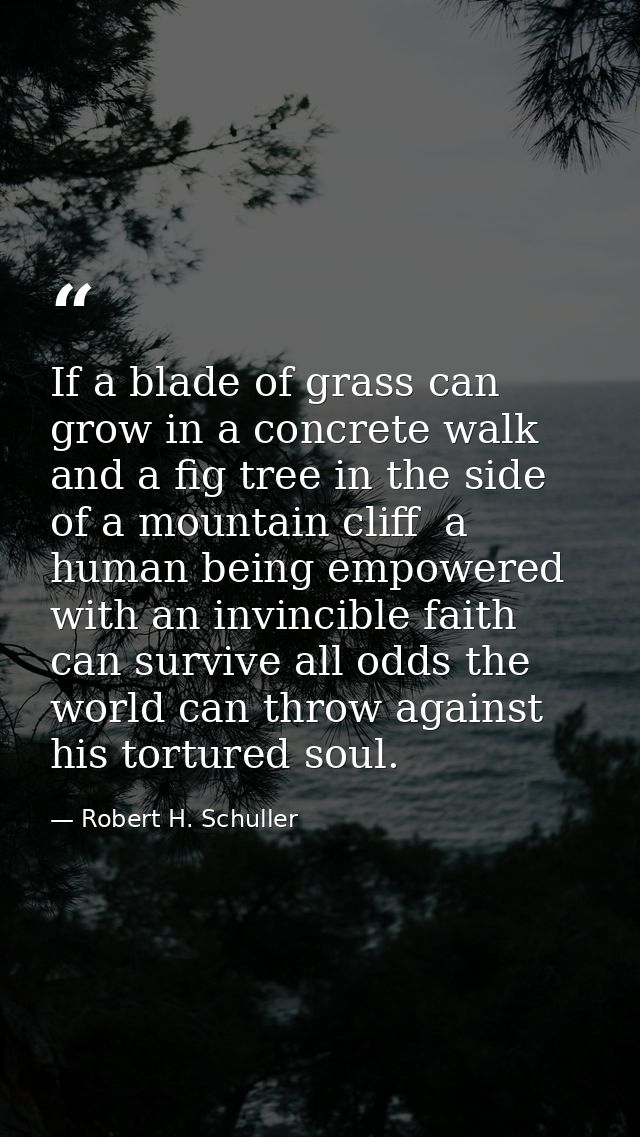 If a blade of grass can grow in a concrete walk and a fig tree in the side of a mountain cliff  a human being empowered  — Robert H. Schuller