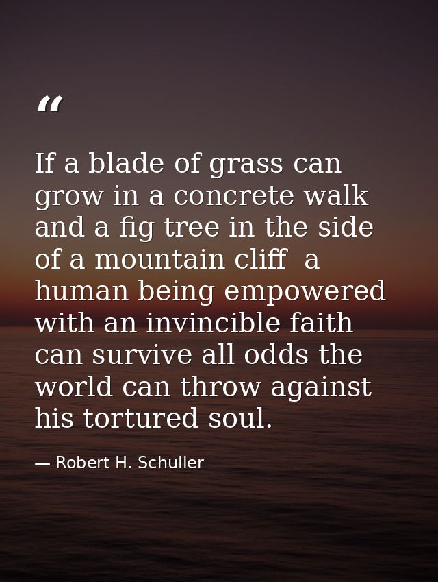 If a blade of grass can grow in a concrete walk and a fig tree in the side of a mountain cliff  a human being empowered  — Robert H. Schuller