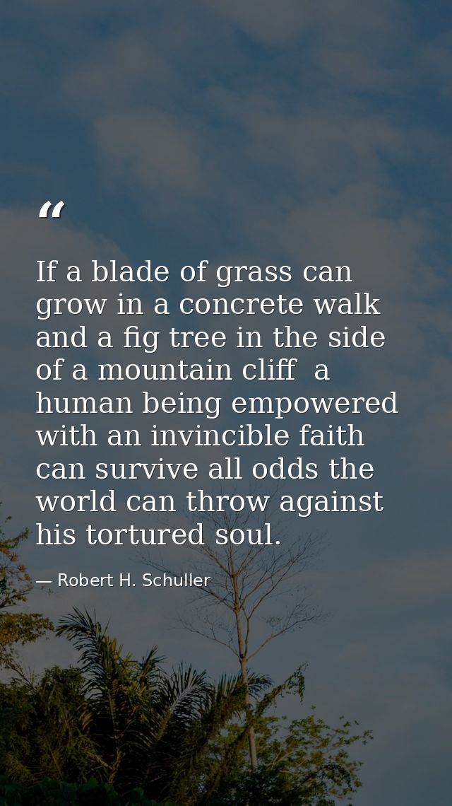 If a blade of grass can grow in a concrete walk and a fig tree in the side of a mountain cliff  a human being empowered  — Robert H. Schuller