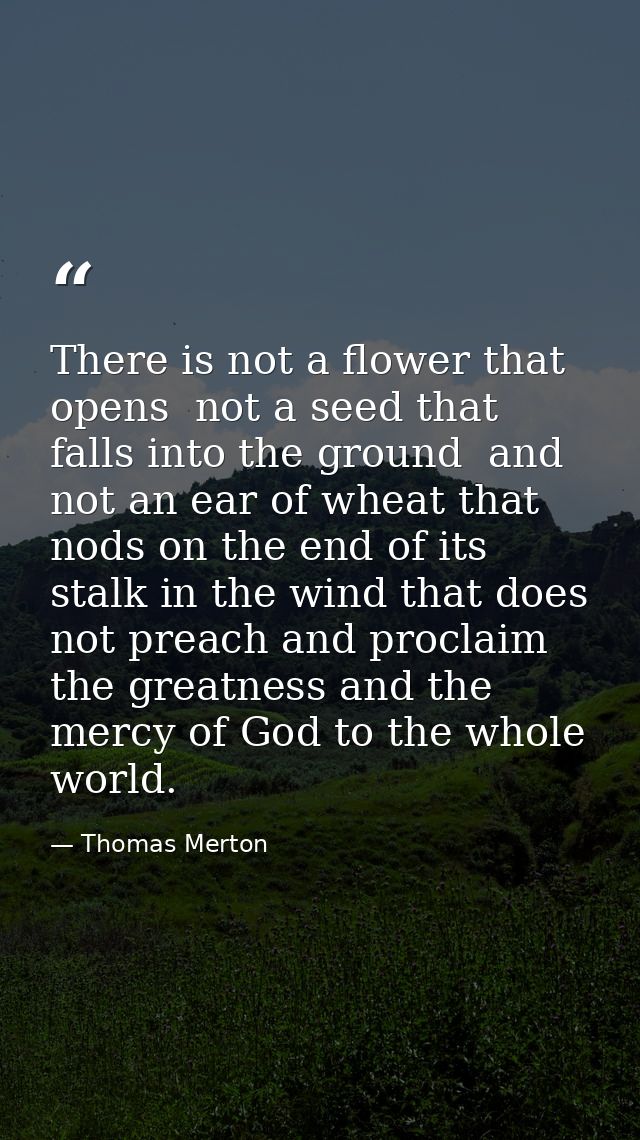 There is not a flower that opens  not a seed that falls into the ground  and not an ear of wheat that nods on the end of — Thomas Merton