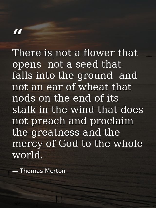There is not a flower that opens  not a seed that falls into the ground  and not an ear of wheat that nods on the end of — Thomas Merton