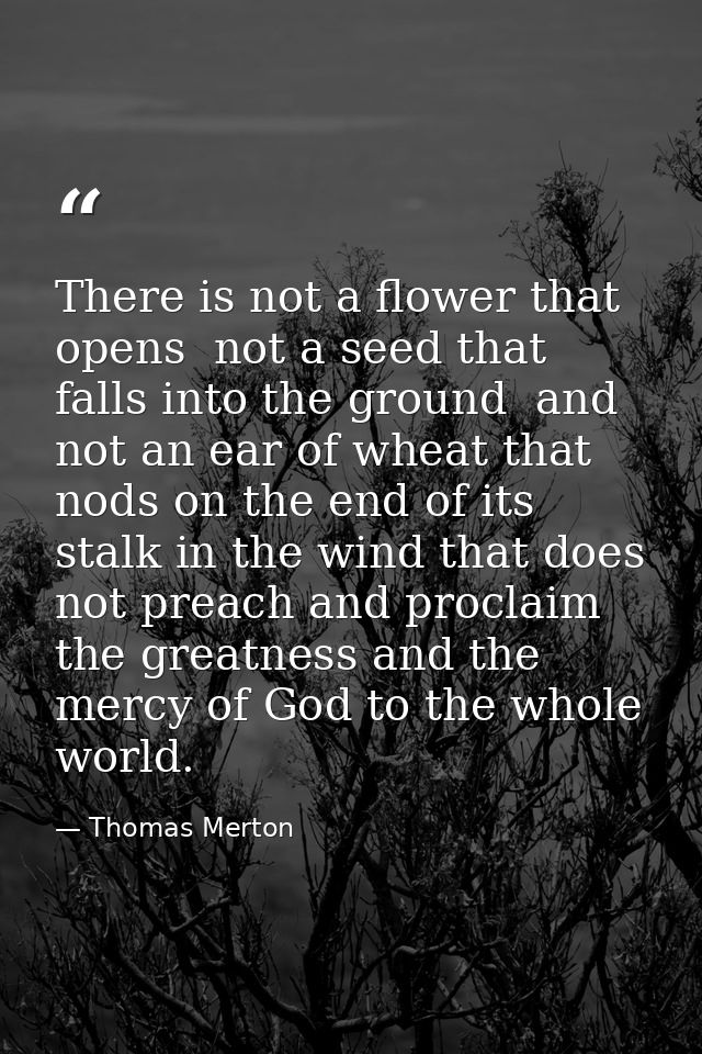 There is not a flower that opens  not a seed that falls into the ground  and not an ear of wheat that nods on the end of — Thomas Merton