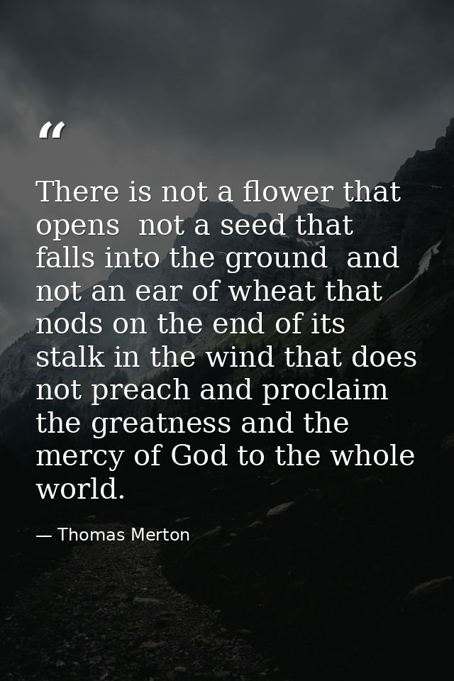 There is not a flower that opens  not a seed that falls into the ground  and not an ear of wheat that nods on the end of — Thomas Merton