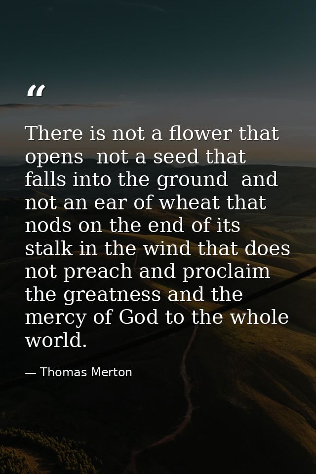 There is not a flower that opens  not a seed that falls into the ground  and not an ear of wheat that nods on the end of — Thomas Merton