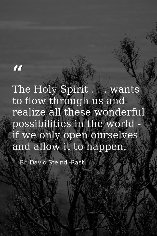 The Holy Spirit . . . wants to flow through us and realize all these wonderful possibilities in the world - if we only o — Br. David Steindl-Rast