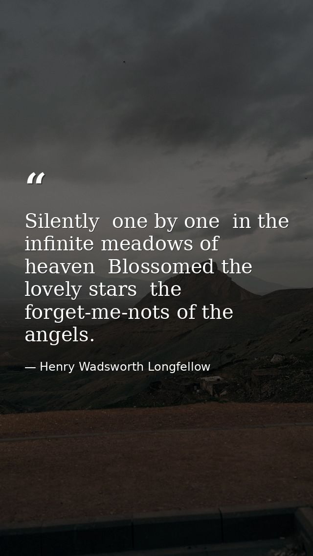 Silently  one by one  in the infinite meadows of heaven  Blossomed the lovely stars  the forget-me-nots of the angels. — Henry Wadsworth Longfellow