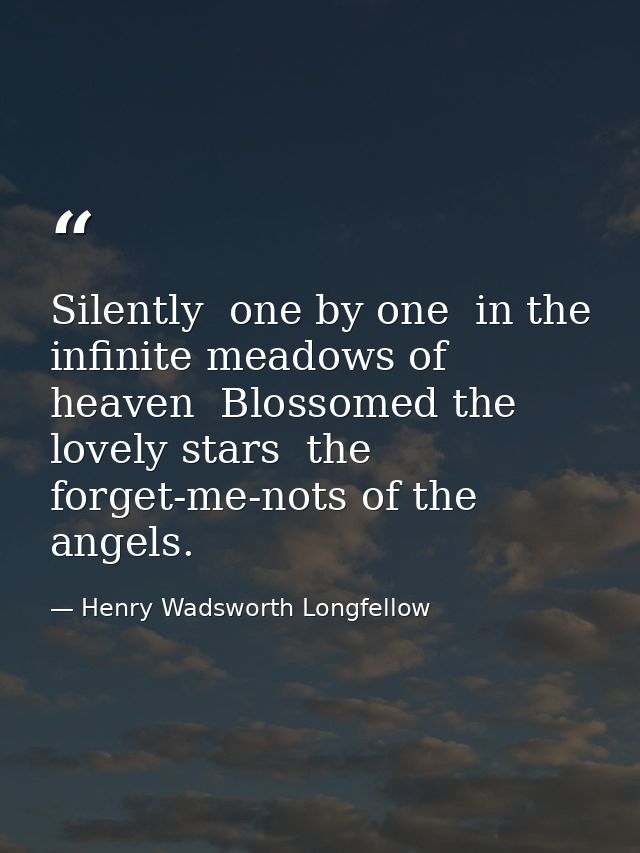 Silently  one by one  in the infinite meadows of heaven  Blossomed the lovely stars  the forget-me-nots of the angels. — Henry Wadsworth Longfellow