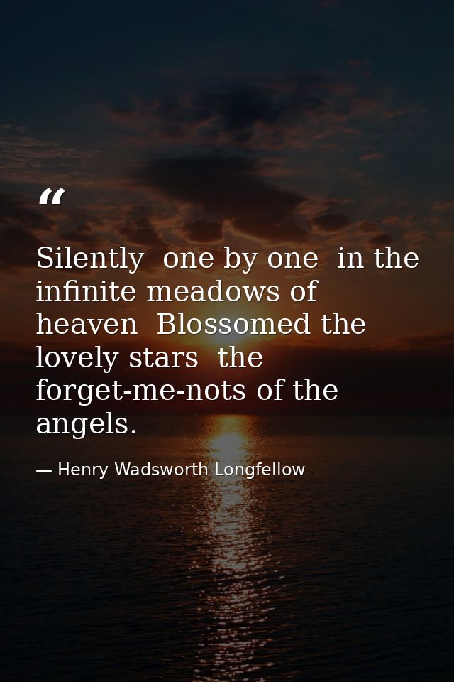 Silently  one by one  in the infinite meadows of heaven  Blossomed the lovely stars  the forget-me-nots of the angels. — Henry Wadsworth Longfellow
