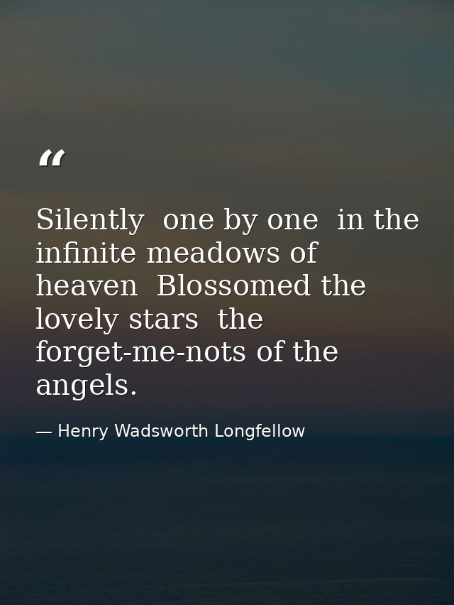 Silently  one by one  in the infinite meadows of heaven  Blossomed the lovely stars  the forget-me-nots of the angels. — Henry Wadsworth Longfellow