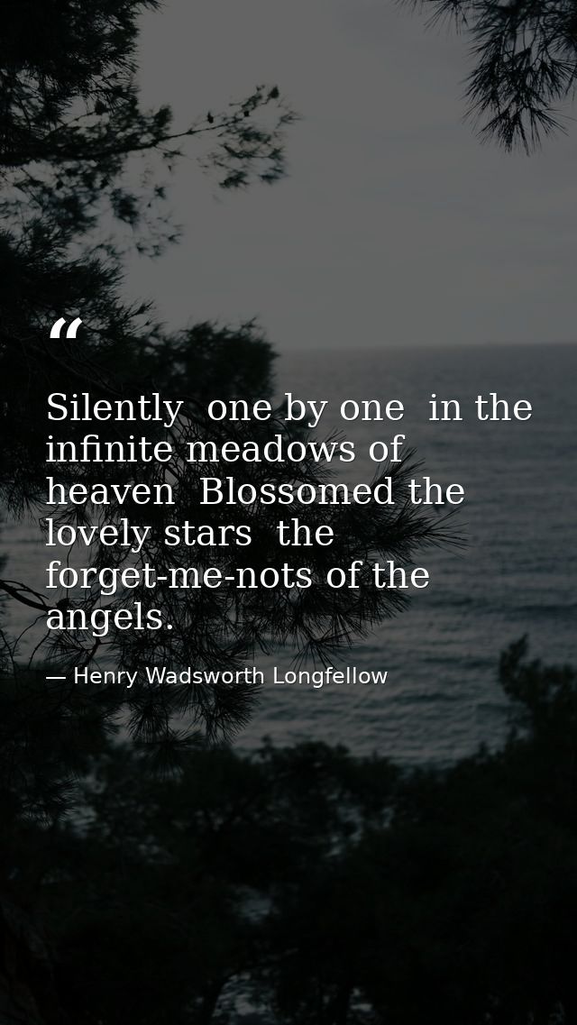 Silently  one by one  in the infinite meadows of heaven  Blossomed the lovely stars  the forget-me-nots of the angels. — Henry Wadsworth Longfellow