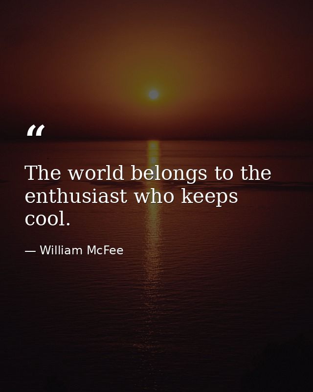 The world belongs to the enthusiast who keeps cool. — William McFee