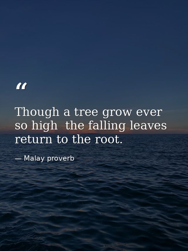Though a tree grow ever so high  the falling leaves return to the root. — Malay proverb