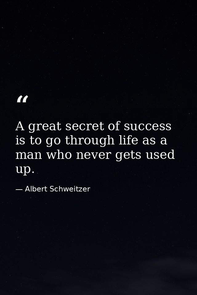 A great secret of success is to go through life as a man who never gets used up. — Albert Schweitzer