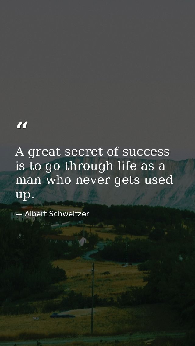 A great secret of success is to go through life as a man who never gets used up. — Albert Schweitzer