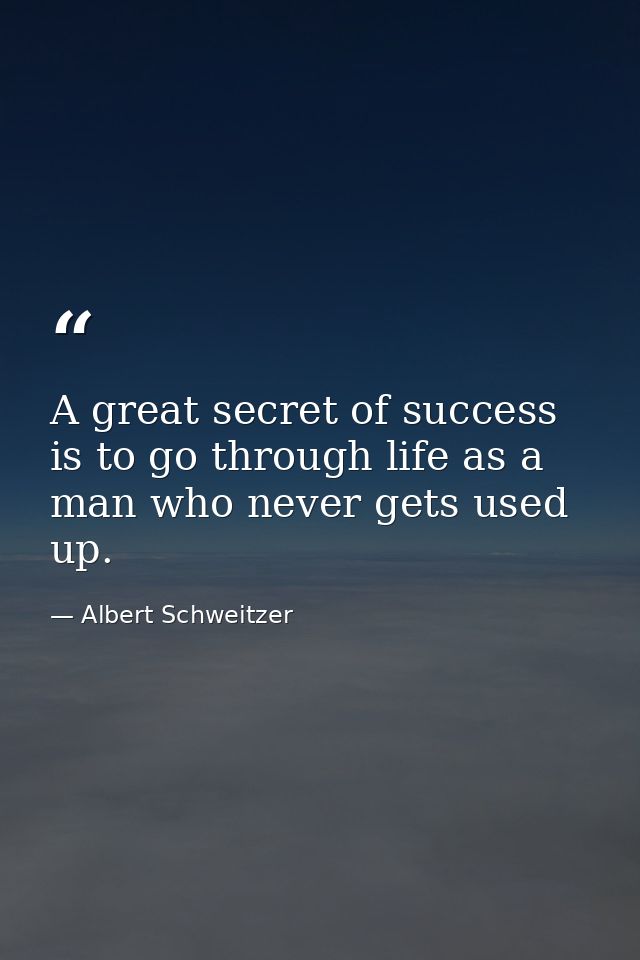 A great secret of success is to go through life as a man who never gets used up. — Albert Schweitzer