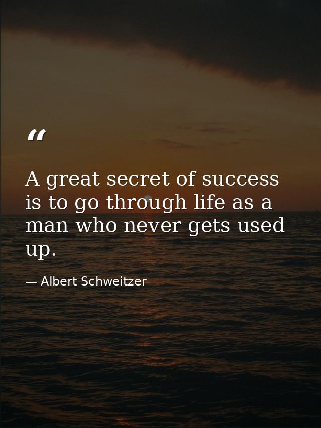 A great secret of success is to go through life as a man who never gets used up. — Albert Schweitzer