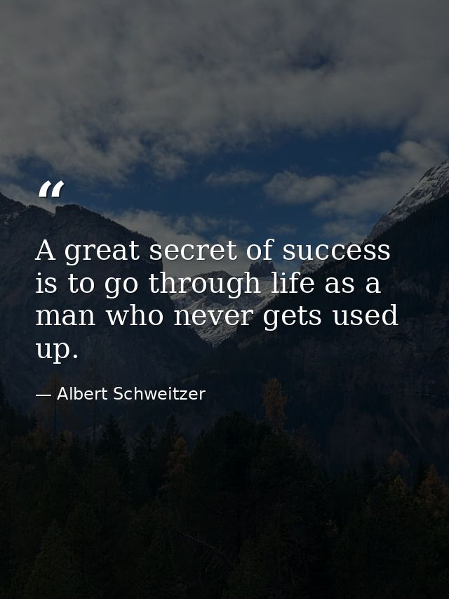 A great secret of success is to go through life as a man who never gets used up. — Albert Schweitzer