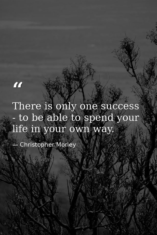 There is only one success - to be able to spend your life in your own way. — Christopher Morley