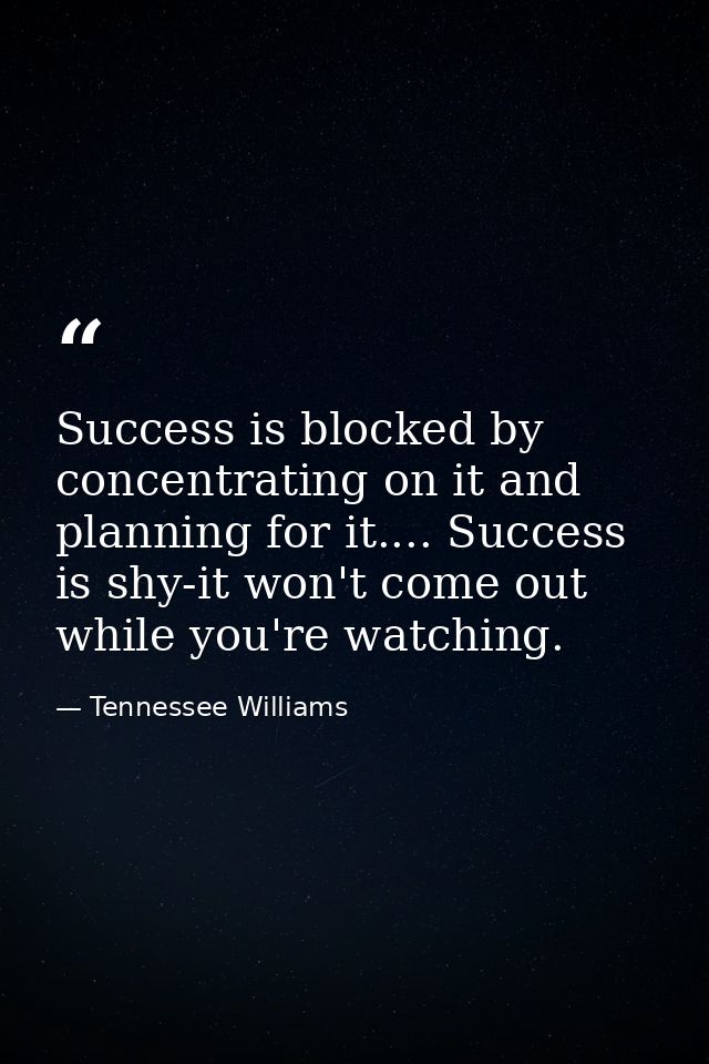 Success is blocked by concentrating on it and planning for it.... Success is shy-it won't come out while you're watching — Tennessee Williams