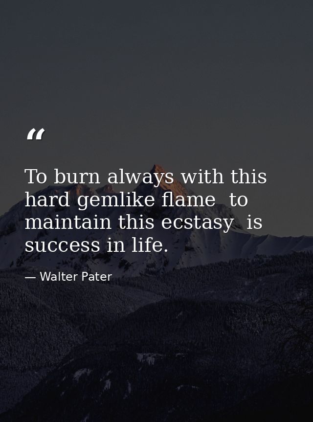 To burn always with this hard gemlike flame  to maintain this ecstasy  is success in life. — Walter Pater