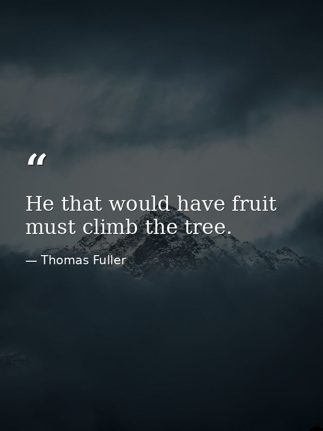 He that would have fruit must climb the tree. — Thomas Fuller