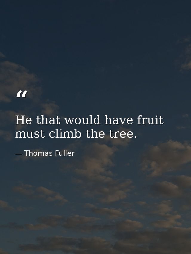 He that would have fruit must climb the tree. — Thomas Fuller